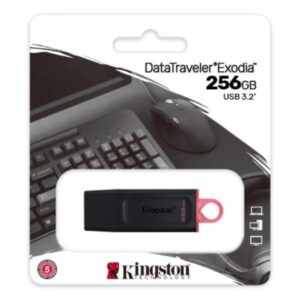 PEN DRIVE USB Flash 256GB Kingston DTX USB 3.2